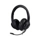 V7 Premium auriculares circumaurales HC701
